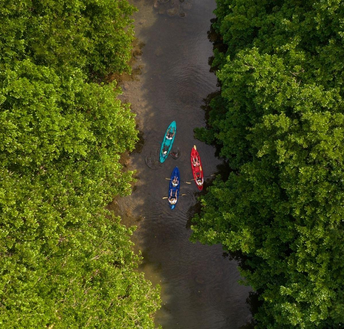Kayak on the Tamarin River