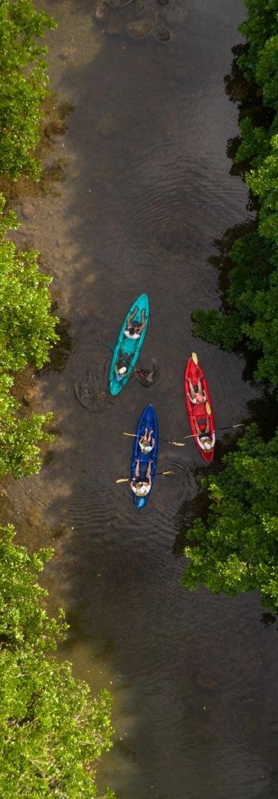 kayak-on-the-tamarin-river Beach photo 8